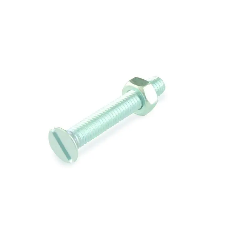 MACHINE SCREW M 5X10 ZINC DIN963/12PCS