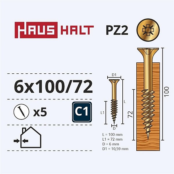 SKRŪVE SAPLĀKSNIM 6.0X100/72 Y ZP 5GB G2