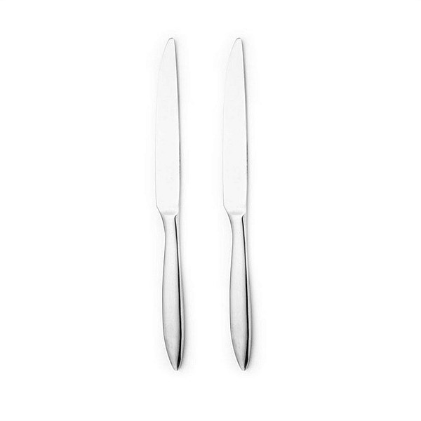 211381 ARDIS - 2PCS TABLE KNIFE