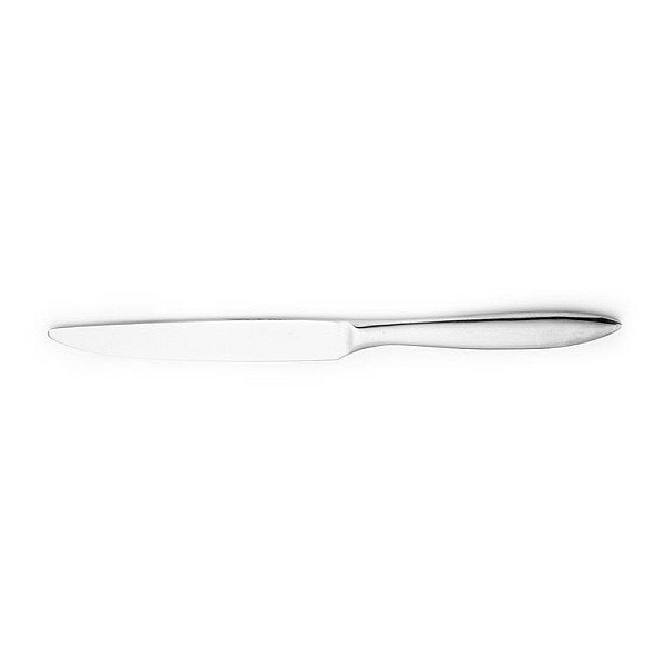 211381 ARDIS - 2PCS TABLE KNIFE