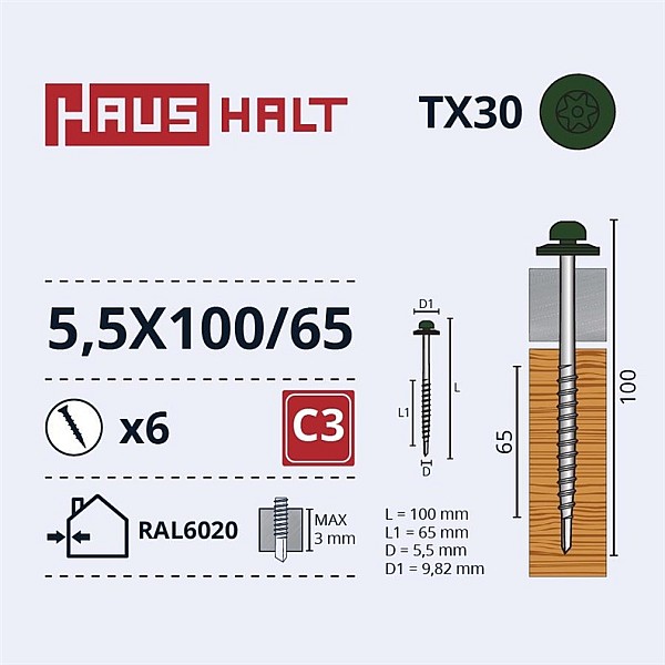 SELF SCR 5.5X100/65 TX/EMPD RAL6020 6PCS