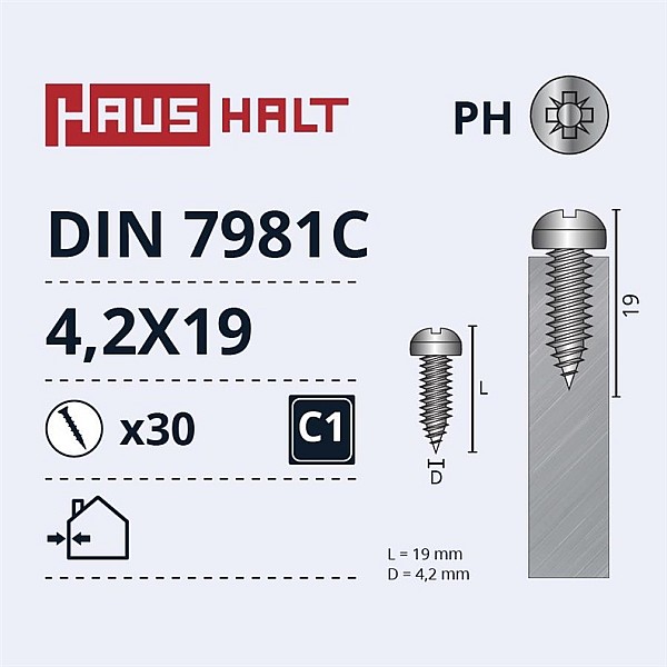 SELF SCREWS 4.2X19 DIN7981C ZN 30PCS