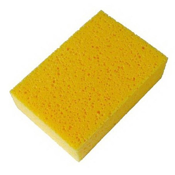 SPONGE J010042