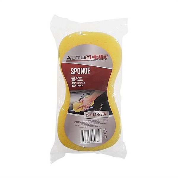 CAR SPONGE J011321