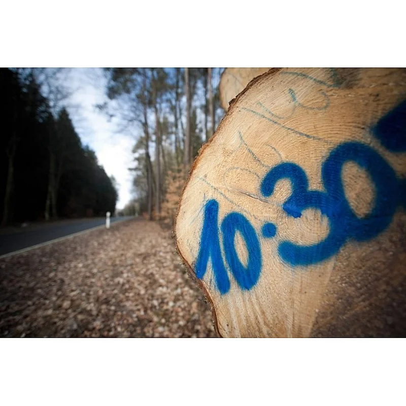 Miško žymėjimo dažai DISTEIN - Neon Gree 500ml, Motip