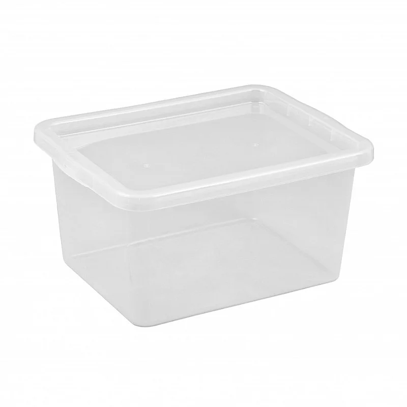 Kaste Basic 52L caurspīdīga ar vāku