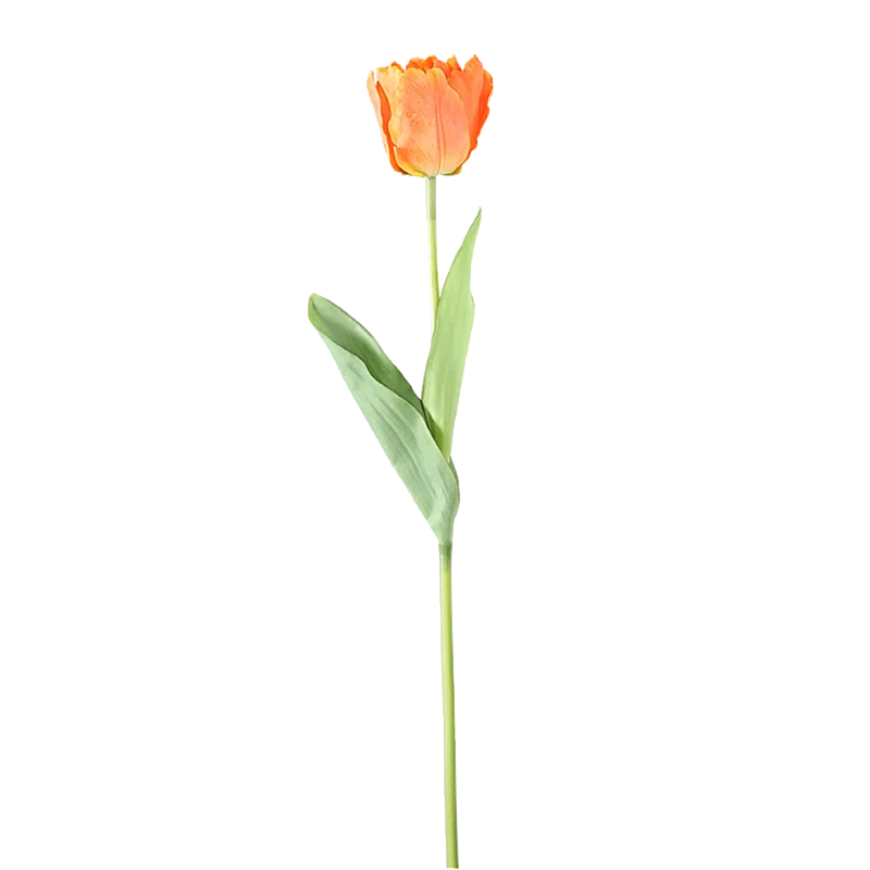 Mākslīgā Tulpe 60cm Mākslīgā Tulpe 60cm