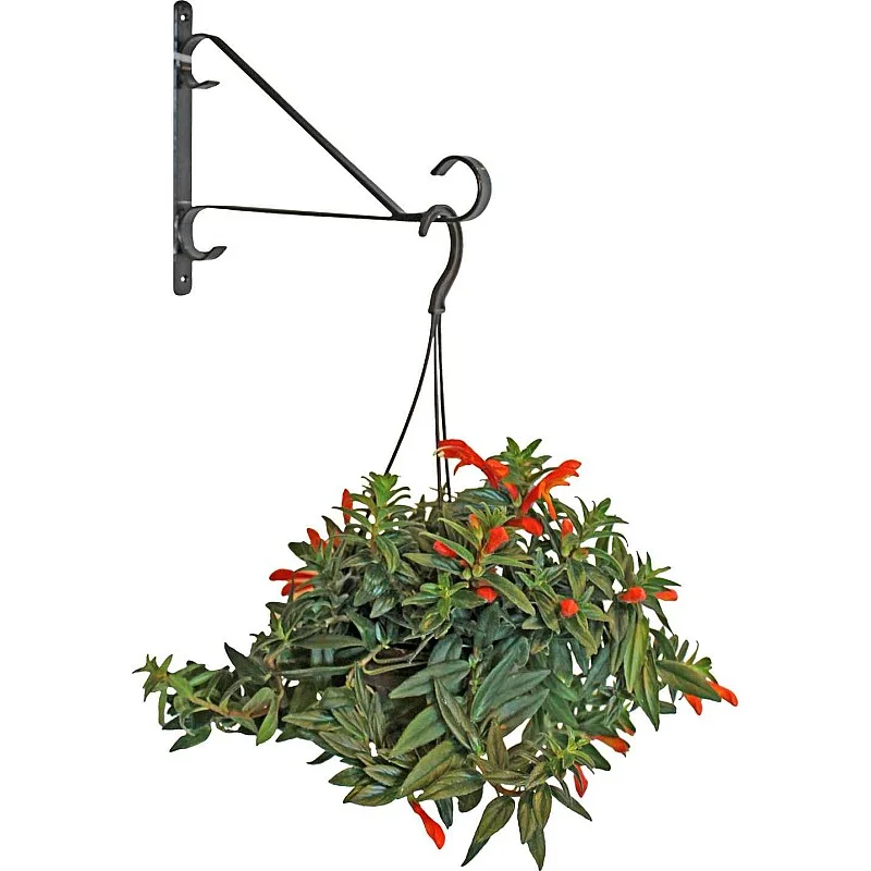 Puķu poda turētājs sienas, metāla 25.4cm