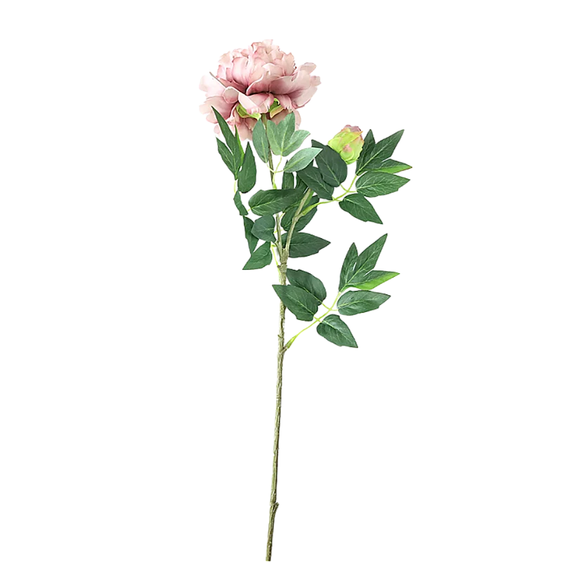 Mākslīgā Peonija 70cm Mākslīgā Peonija 70cm