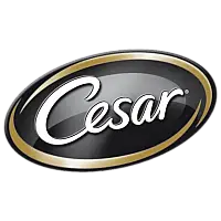 Cesar