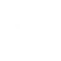 RAVUS