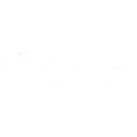 WELSPRING