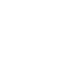 SPONGE