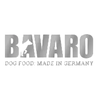 Bavaro