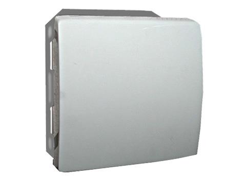 SWITCH P610-010-12V WHITE LX200