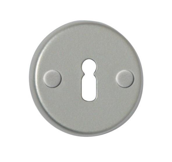 DOOR KEY PLATE T2 SILVER COLOR 100