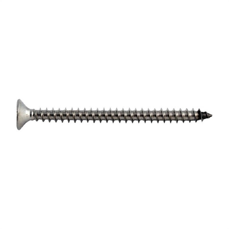 SCREWNAIL (A2 3X35 MM) 20VNT