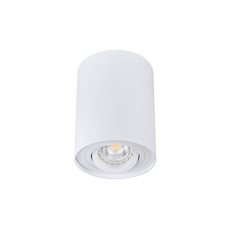 CEILING LIGHT POINT FITTING BORD DLP-50W