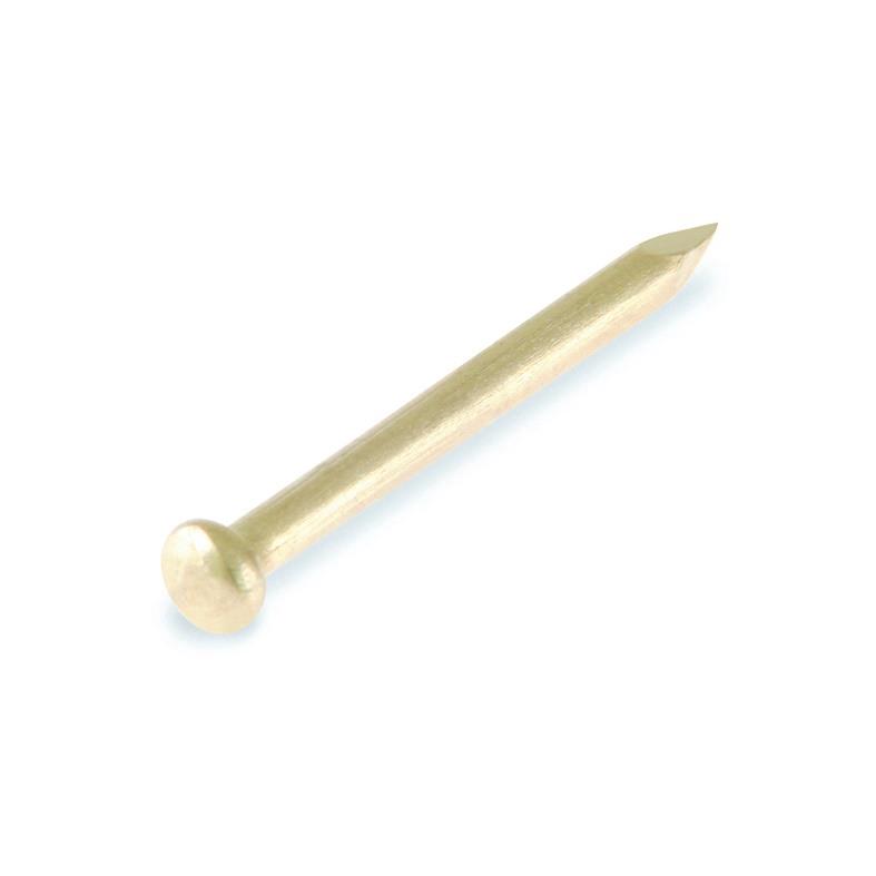 ROU.HEAD NAIL 1.0X10 BRASS/ 30GR