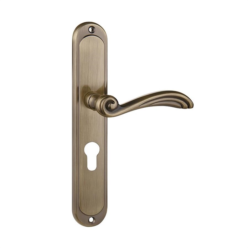 ZO55P DOOR HANDLE ORION 55MM CYL AB