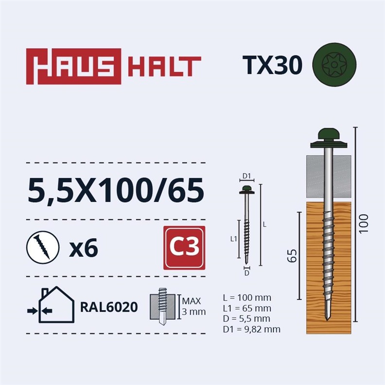 Savisriegiai Haushalt. DIN 7504N. 5.5 x 100/65 mm. 6 vnt.