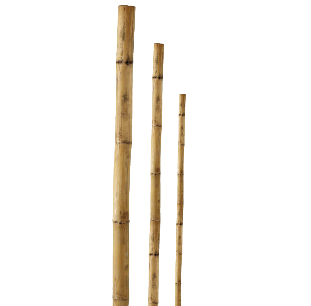 Kablys Bambuko 240cm