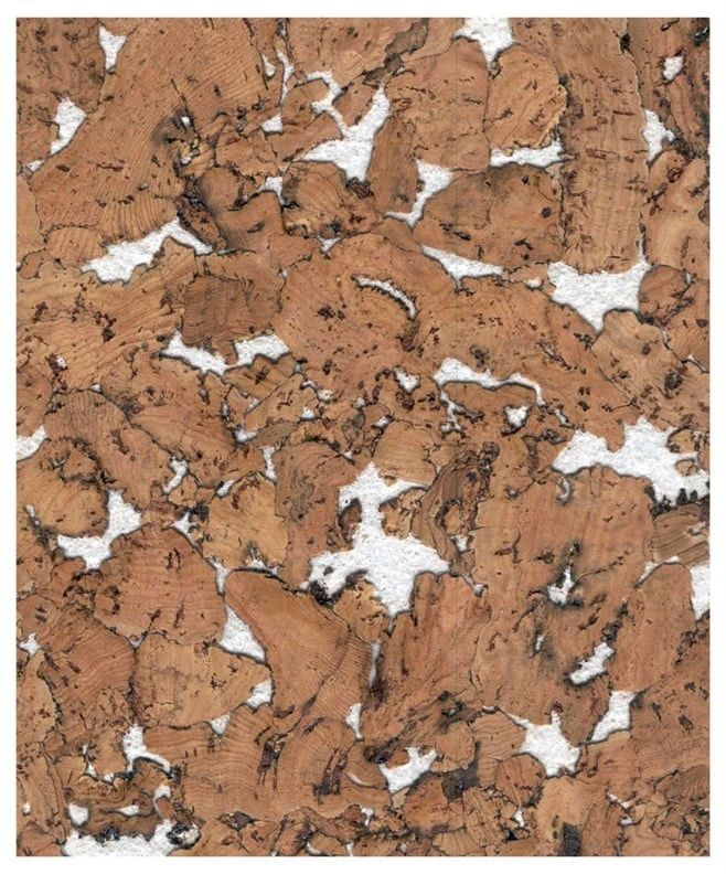 Cork wall covering