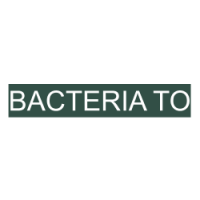 BACTERIA _TO
