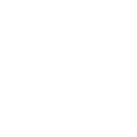 SPONGE