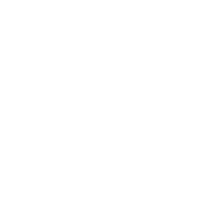 SPONGE