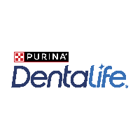 DENTALIFE
