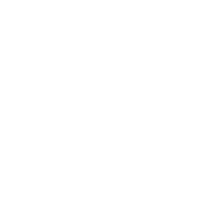 RAVUS