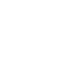 RAVUS