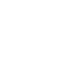 RAVUS